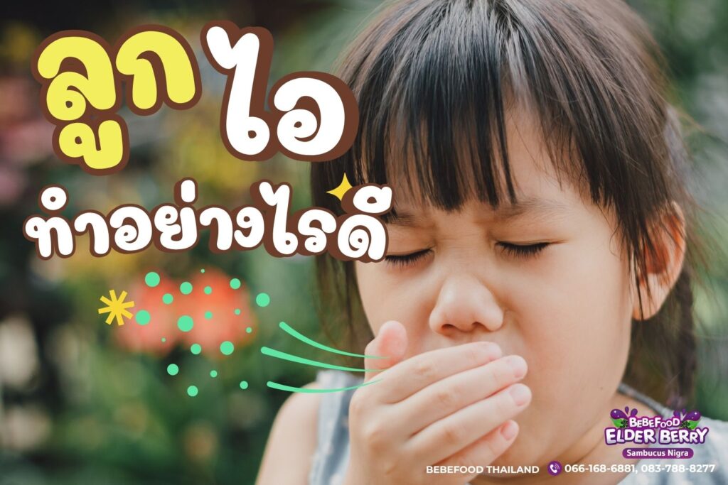 ประโยชน์ของเอลเดอร์เบอร์รีj