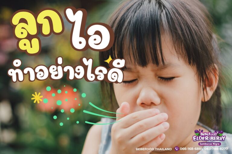 ประโยชน์ของเอลเดอร์เบอร์รีj