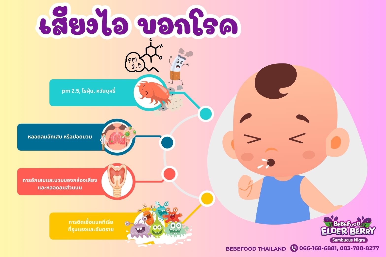 เอลเดอร์เบอร์รี่ เสริมภูมิคุ้มกัน ลดหวัดบ่อยในเด็ก เรื่องจริงที่พ่อแม่มือใหม่ต้องรู้