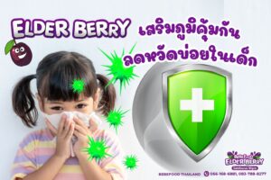 เอลเดอร์เบอร์รี่ เสริมภูมิคุ้มกัน ลดหวัดบ่อยในเด็ก เรื่องจริงที่พ่อแม่มือใหม่ต้องรู้