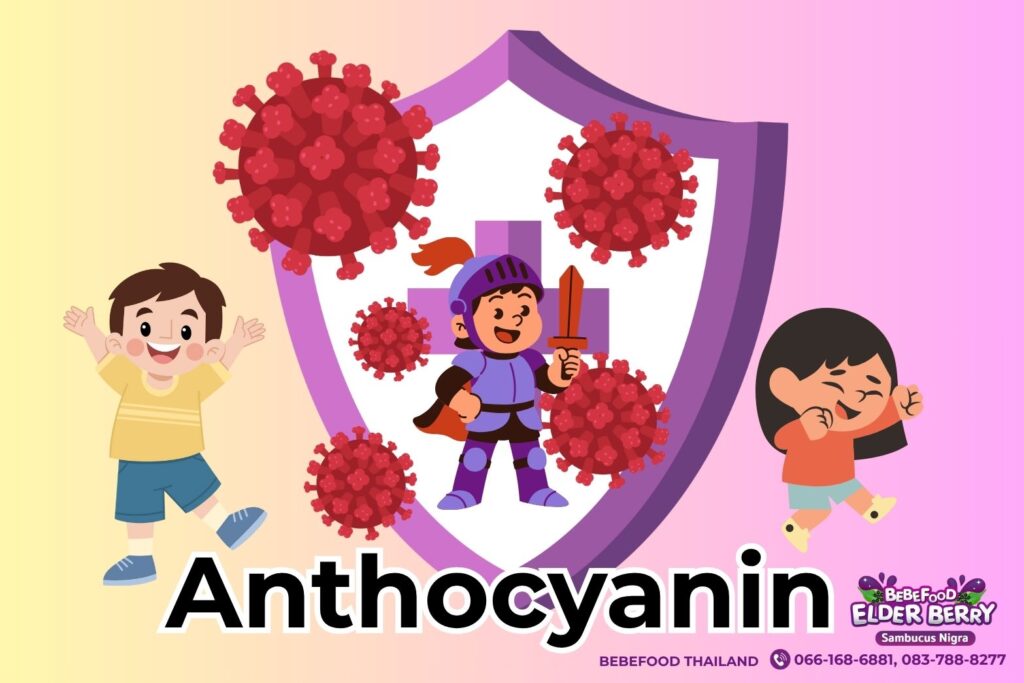 เอลเดอร์เบอร์รี่ เสริมภูมิคุ้มกัน ลดหวัดบ่อยในเด็ก เรื่องจริงที่พ่อแม่มือใหม่ต้องรู้