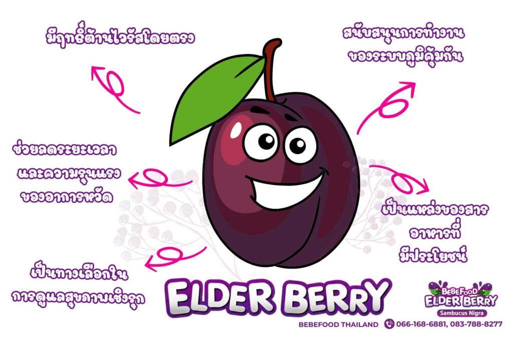 เอลเดอร์เบอร์รี่ เสริมภูมิคุ้มกัน ลดหวัดบ่อยในเด็ก เรื่องจริงที่พ่อแม่มือใหม่ต้องรู้