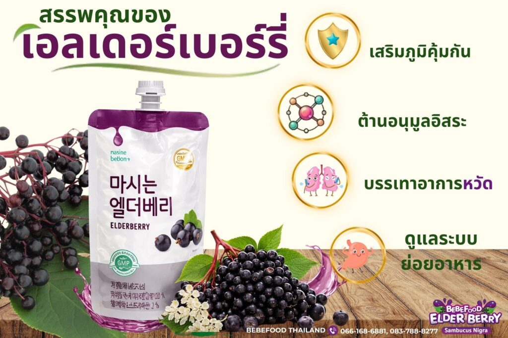 เอลเดอร์เบอร์รี่ (Elderberry)